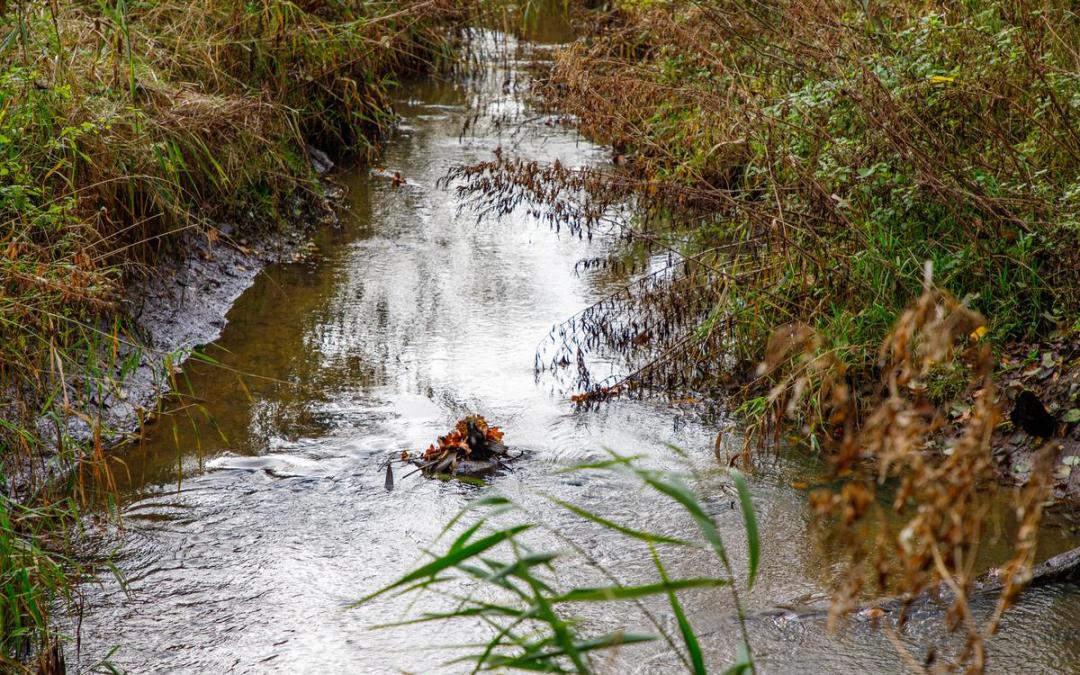 Sønderborg Kommune restaurerer vandløb for en bedre økologisk tilstand