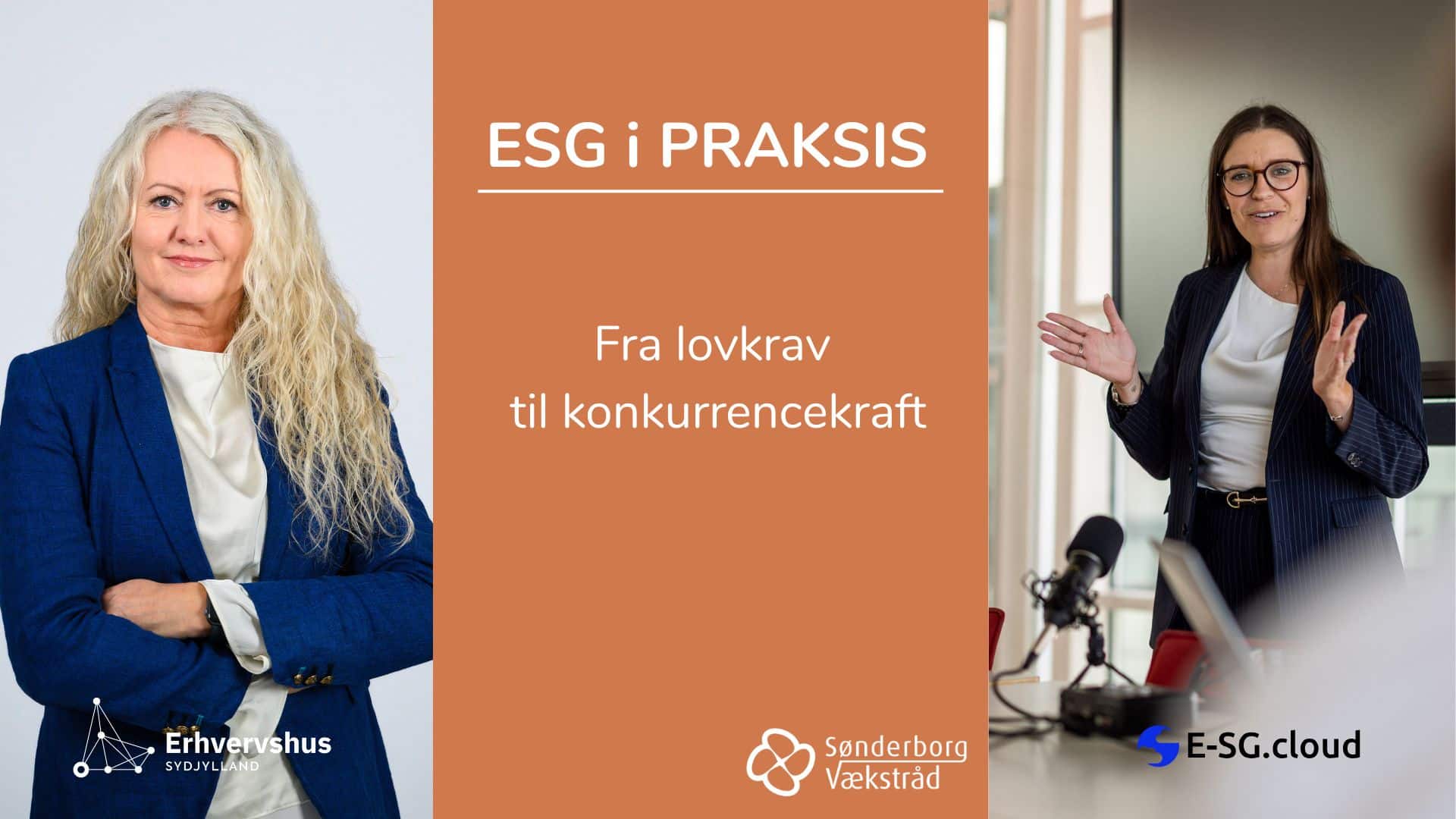 ESG i praksis – Fra lovkrav til strategisk retning og øget konkurrencekraft