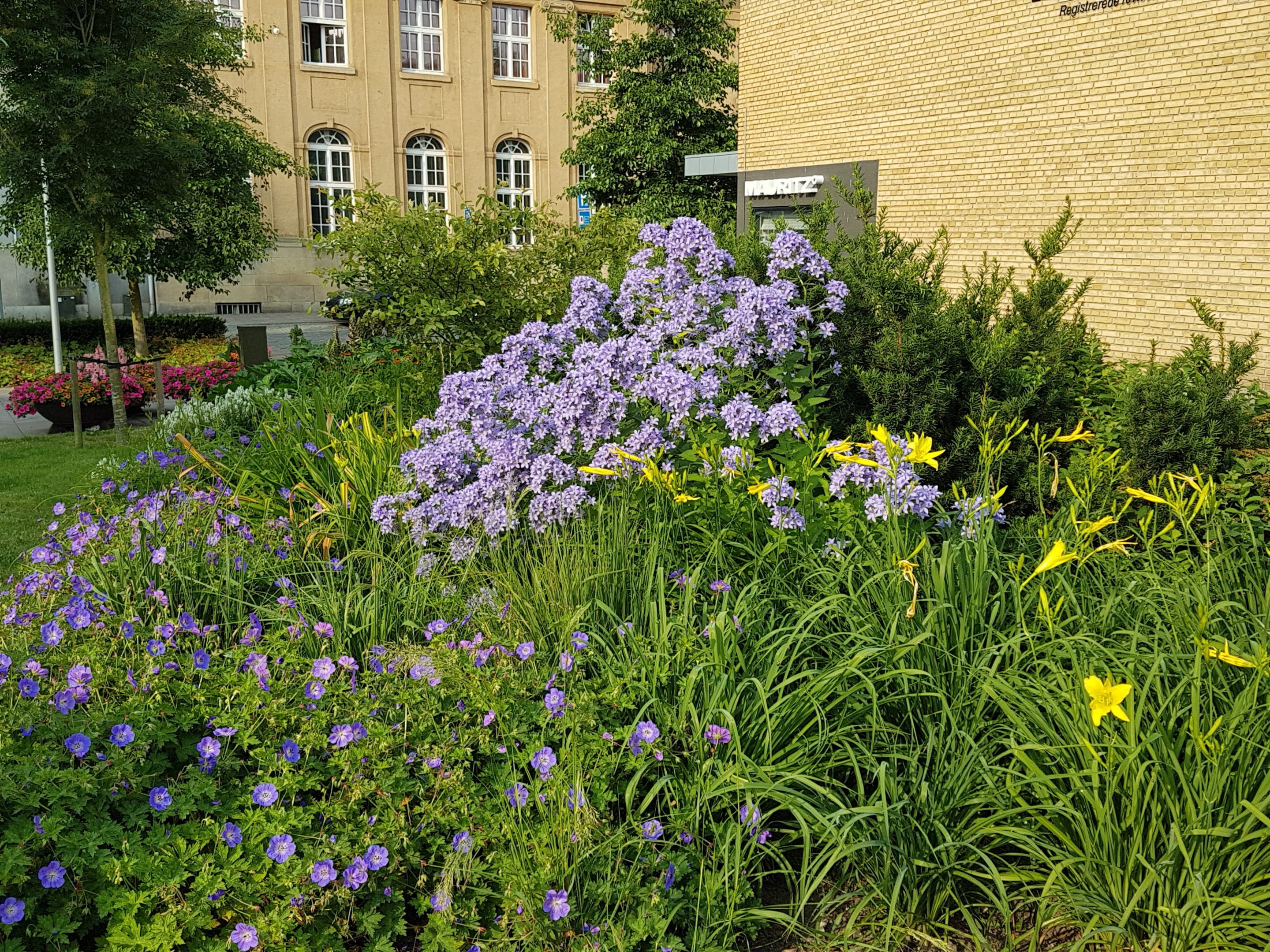 Byvandring med Haveselskabet Sønderborg