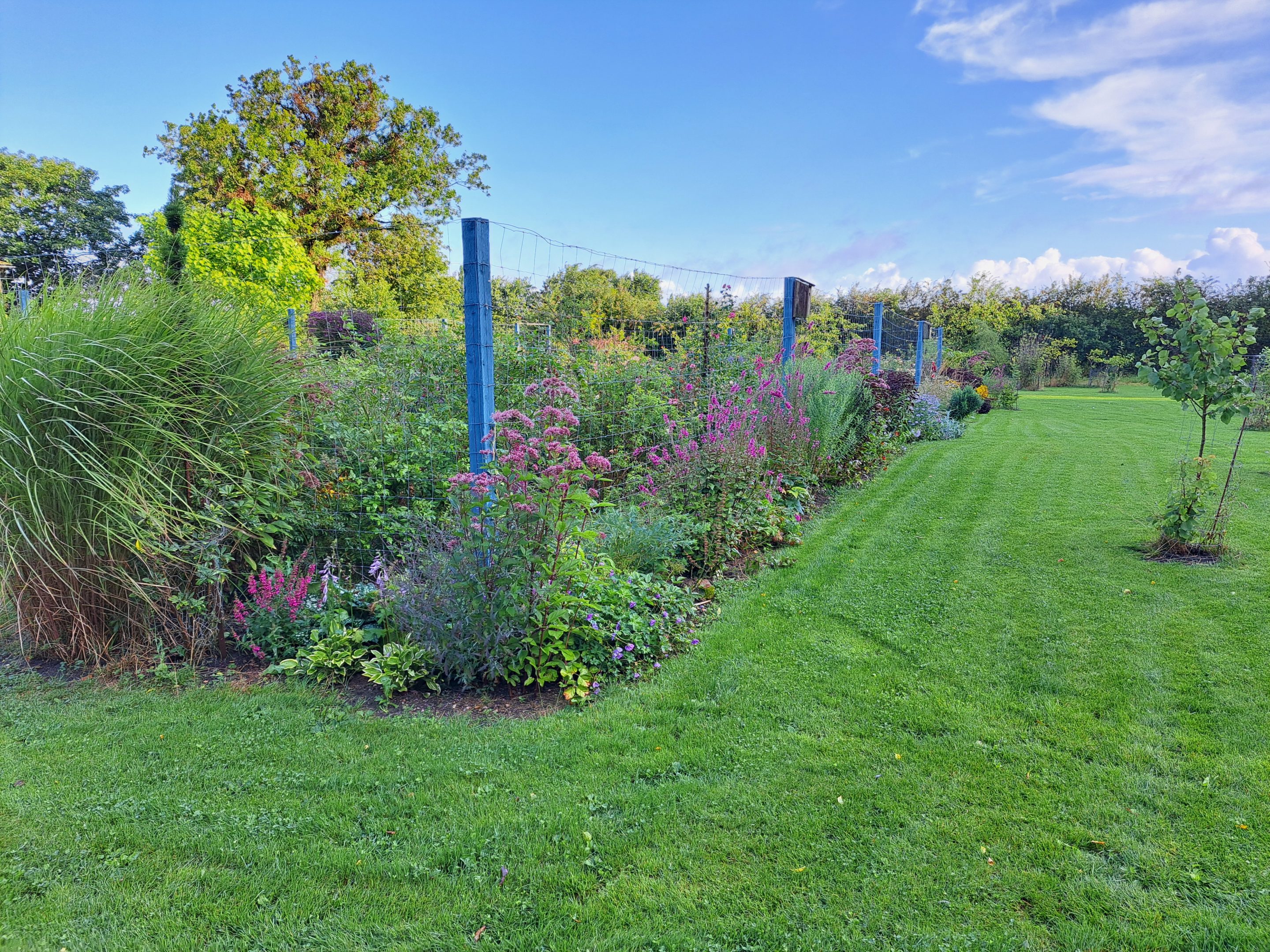Havevandring med Haveselskabet Sønderborg