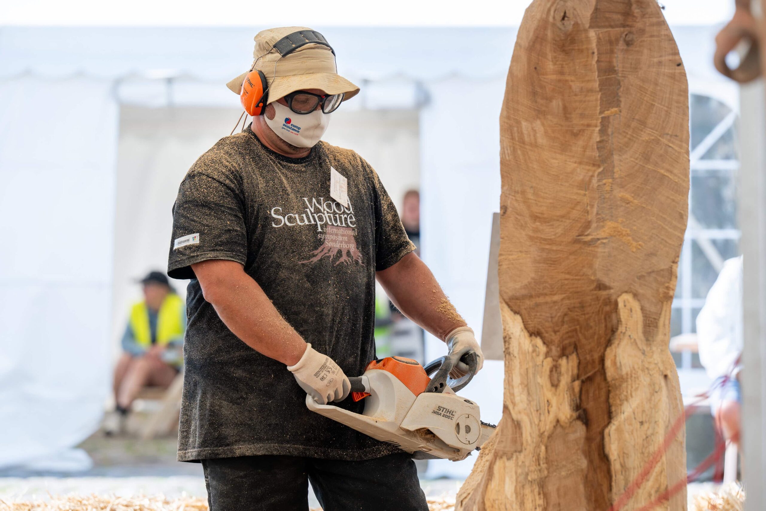 WoodSculpture WoodSculpture