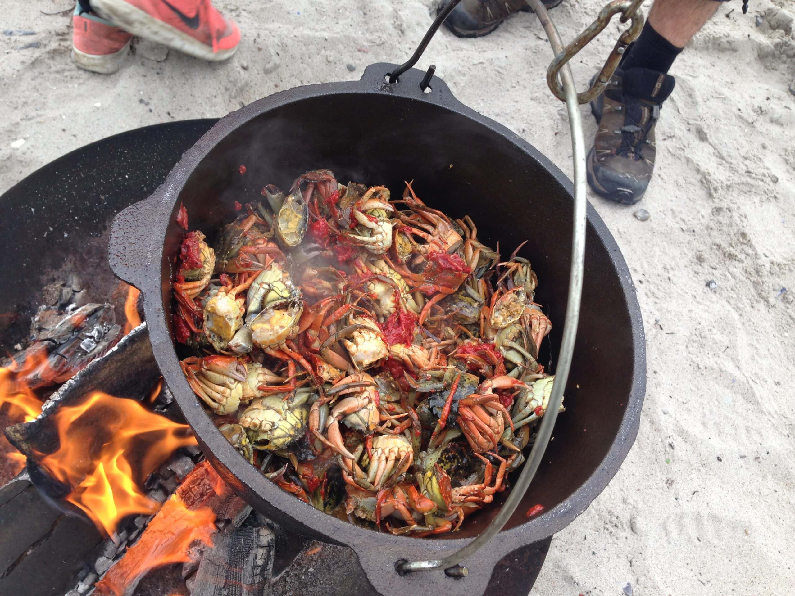 Crab og skaldyr grillet over åben ild i naturen.