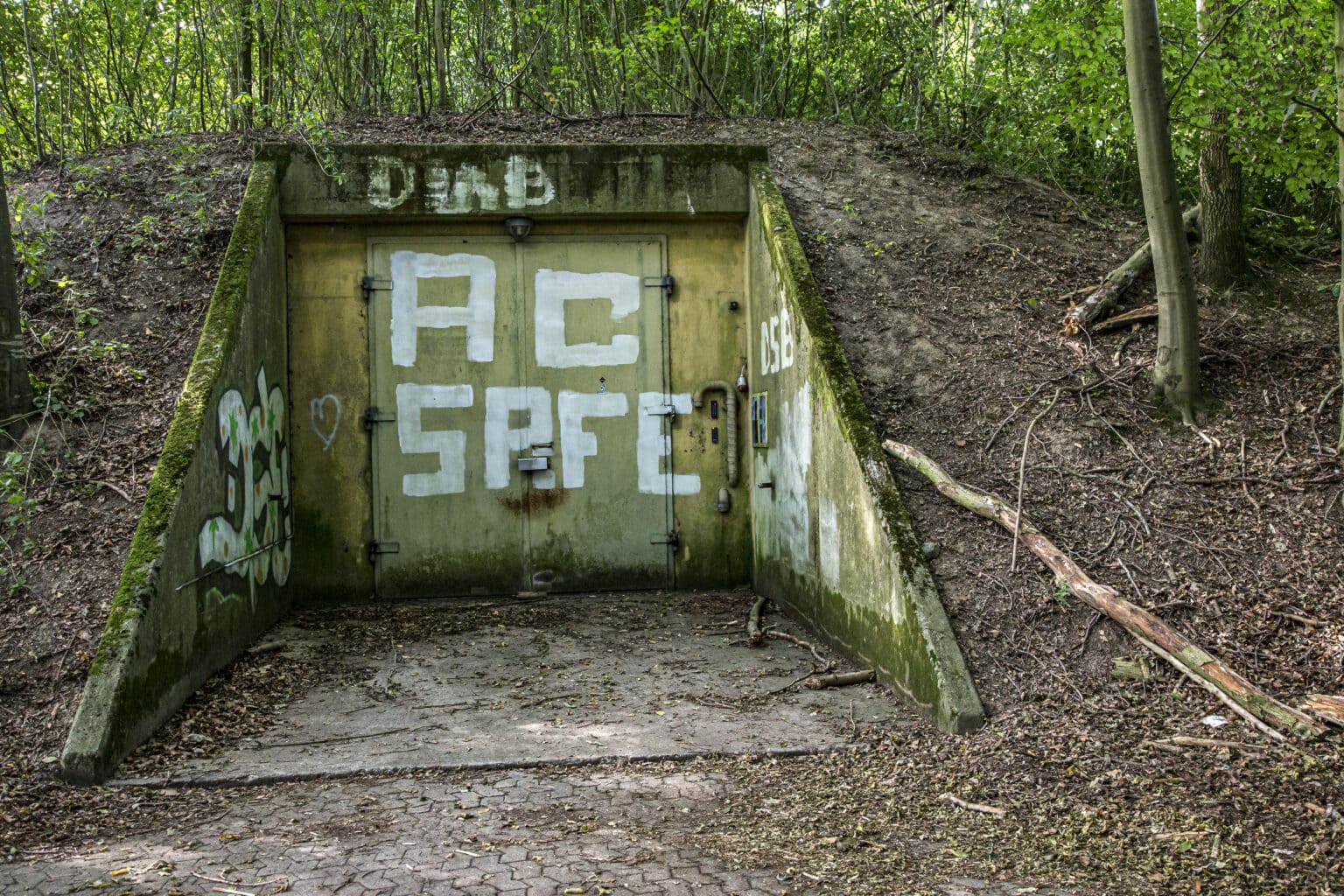 Center for verdensmål Underjordisk tunnel i skov med graffiti og grønne omgivelser.