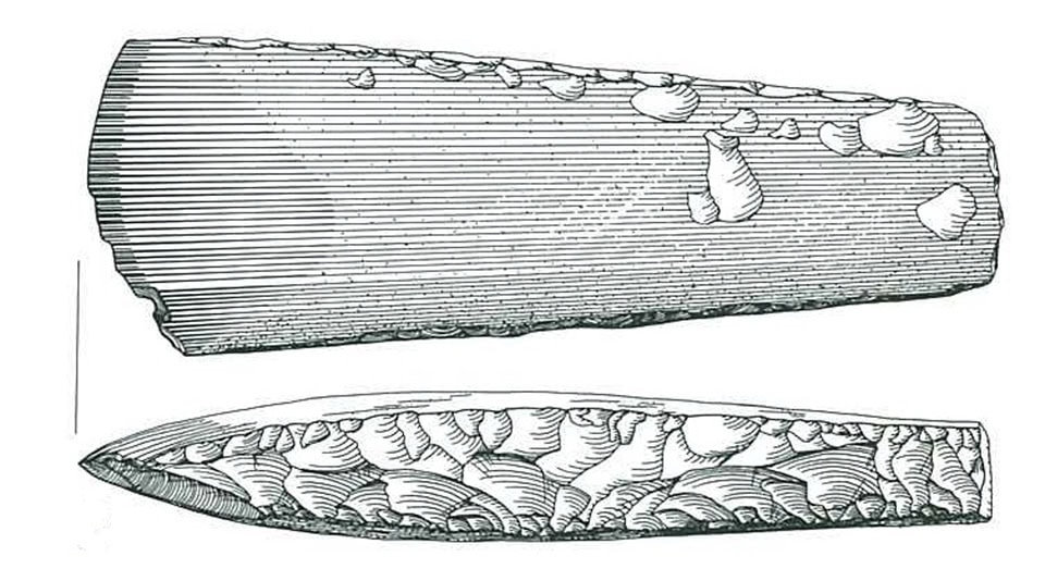 10_flintøkse vang petersen 1999 nr164 Naturen og oldtiden