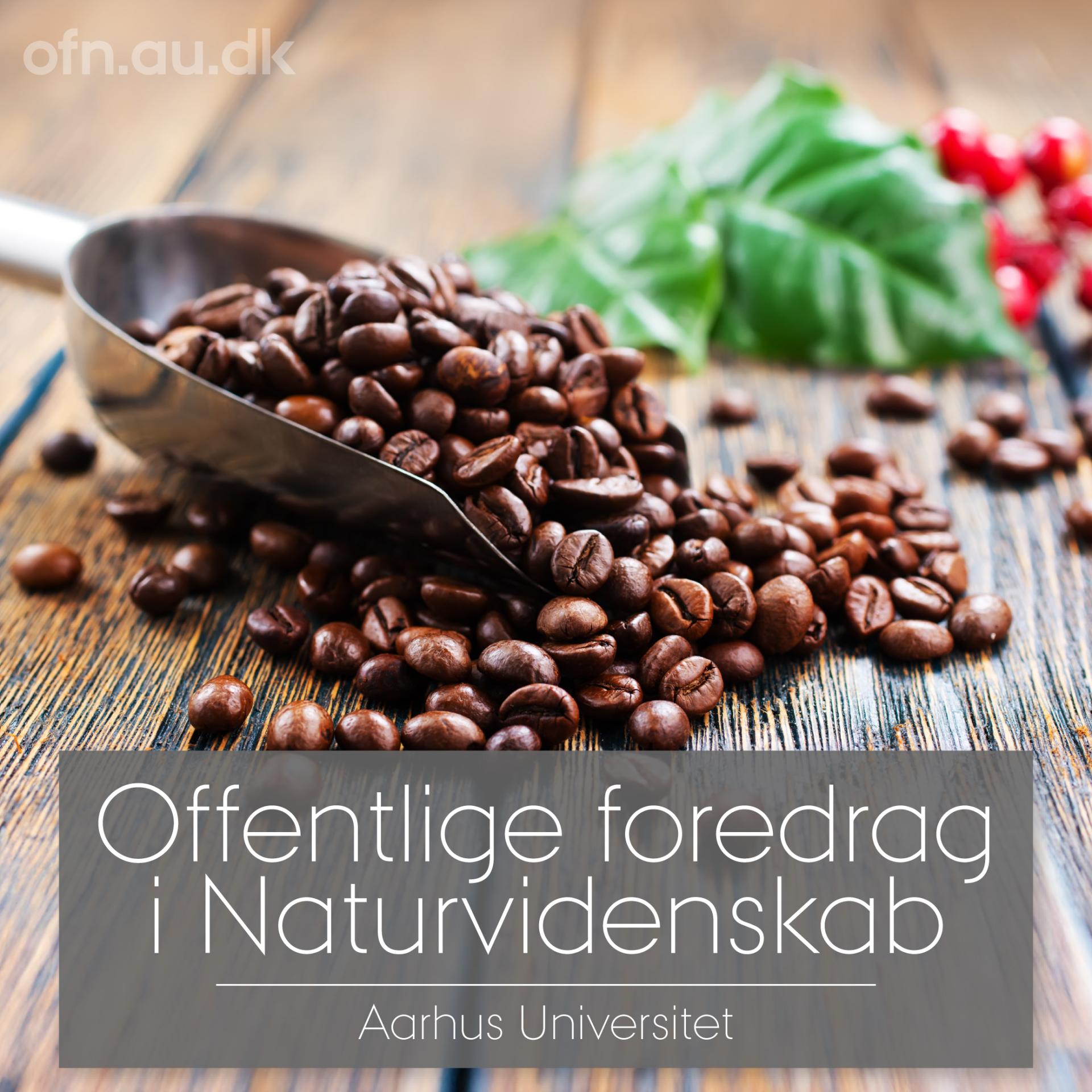 Kaffe_1-1