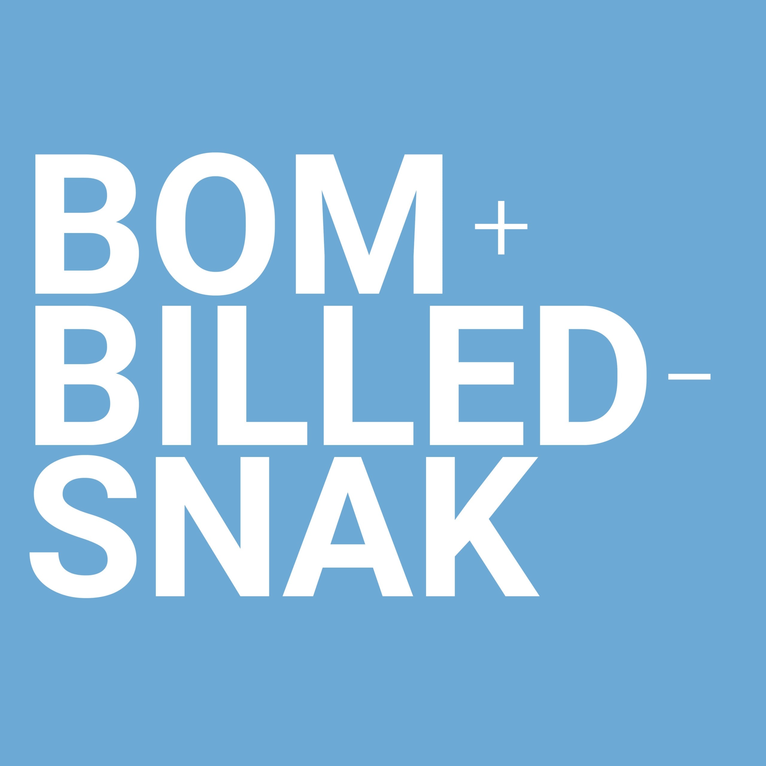 BOMogBILLEDSNAK-web-scaled-1