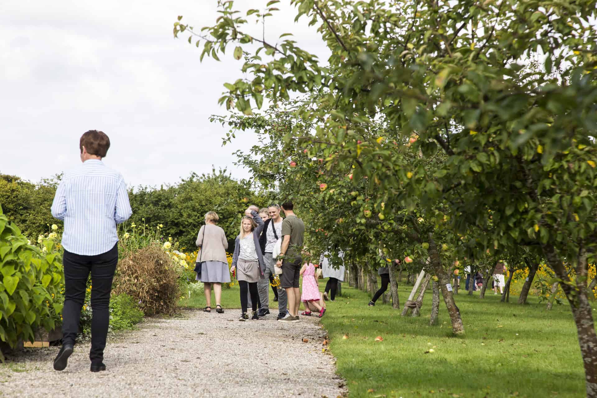 Høstmarked i Den Kongelige Køkkenhave