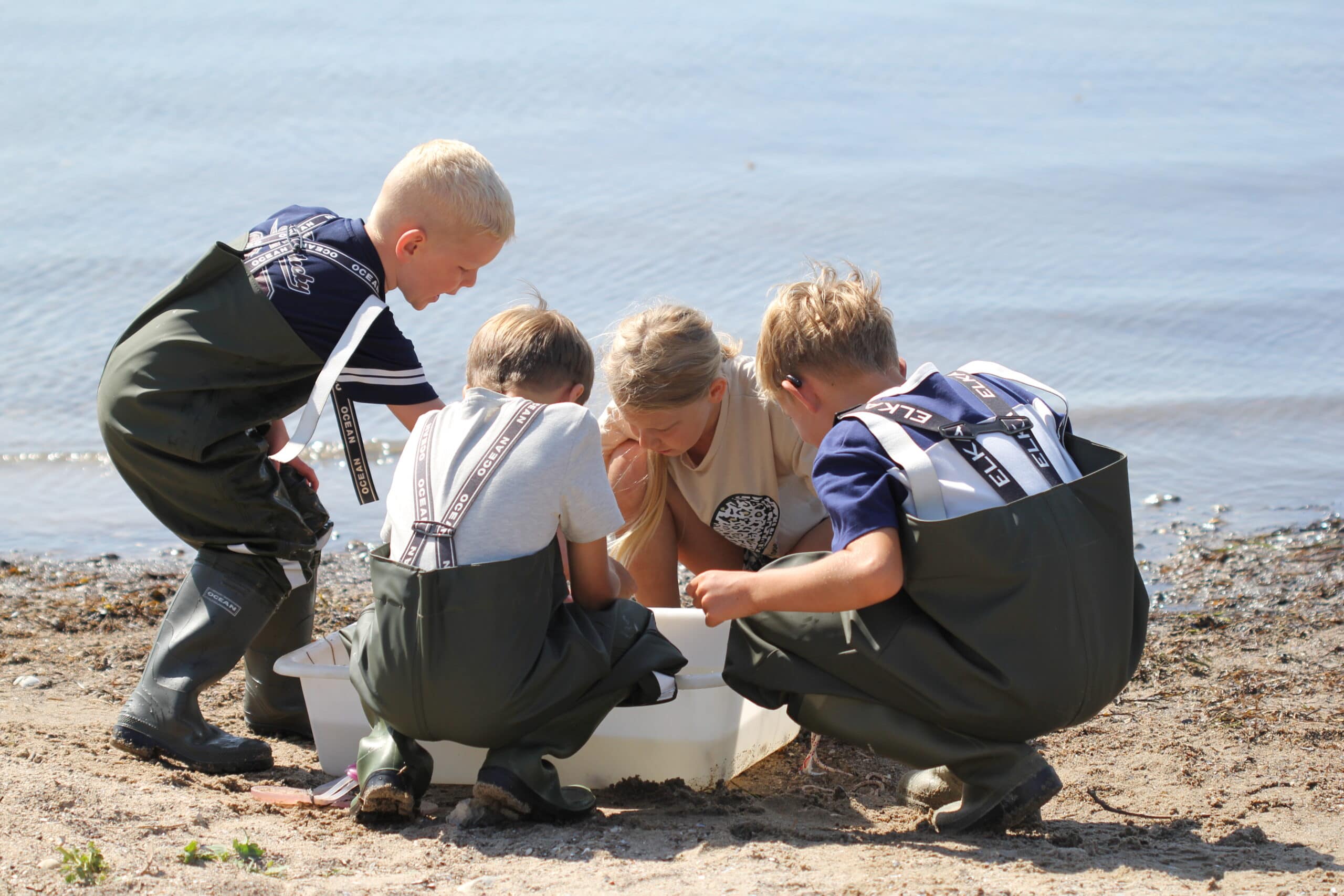 Naturvejlederne Sønderborg