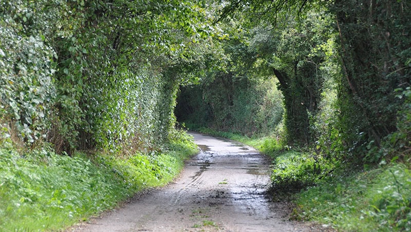 Naturen og oldtiden