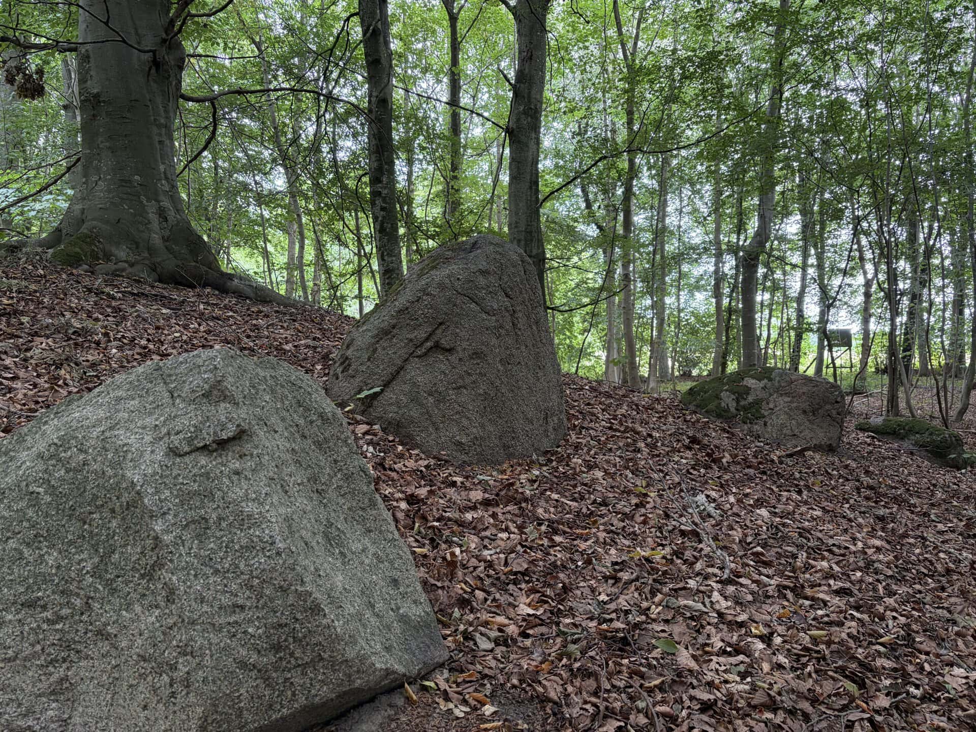 Naturen og oldtiden