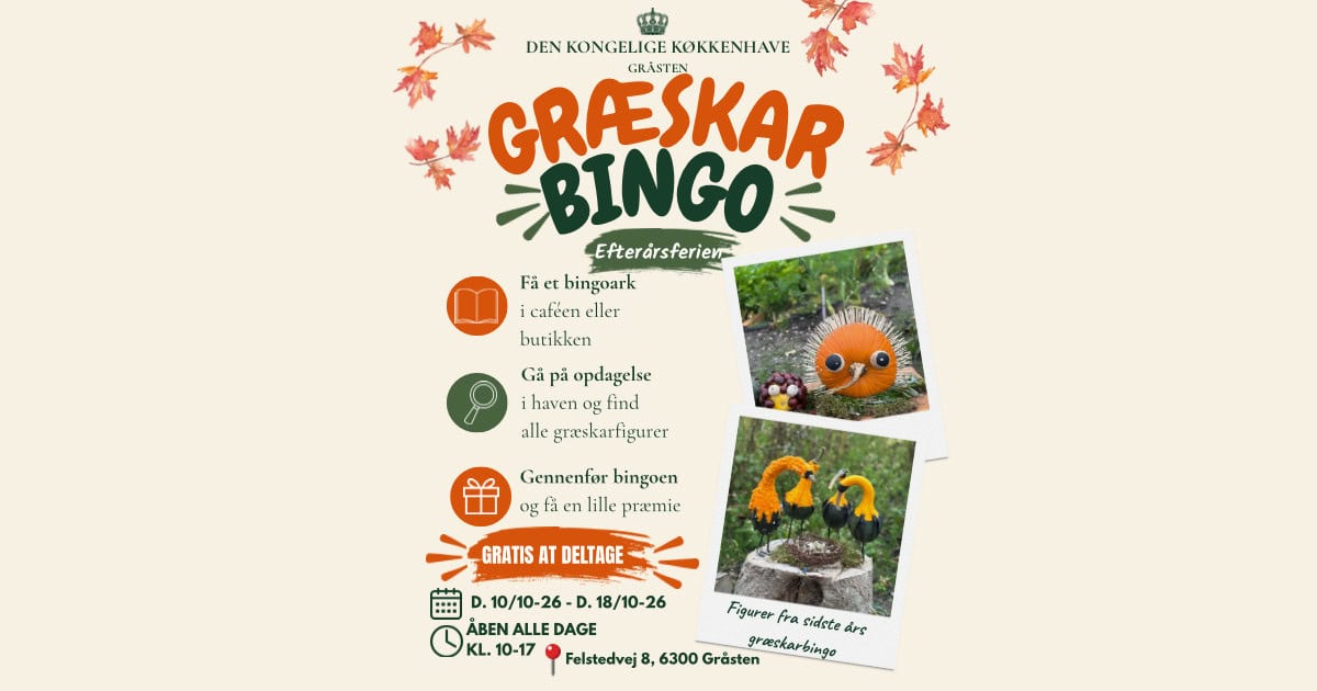 Bingo sonderborg.dk