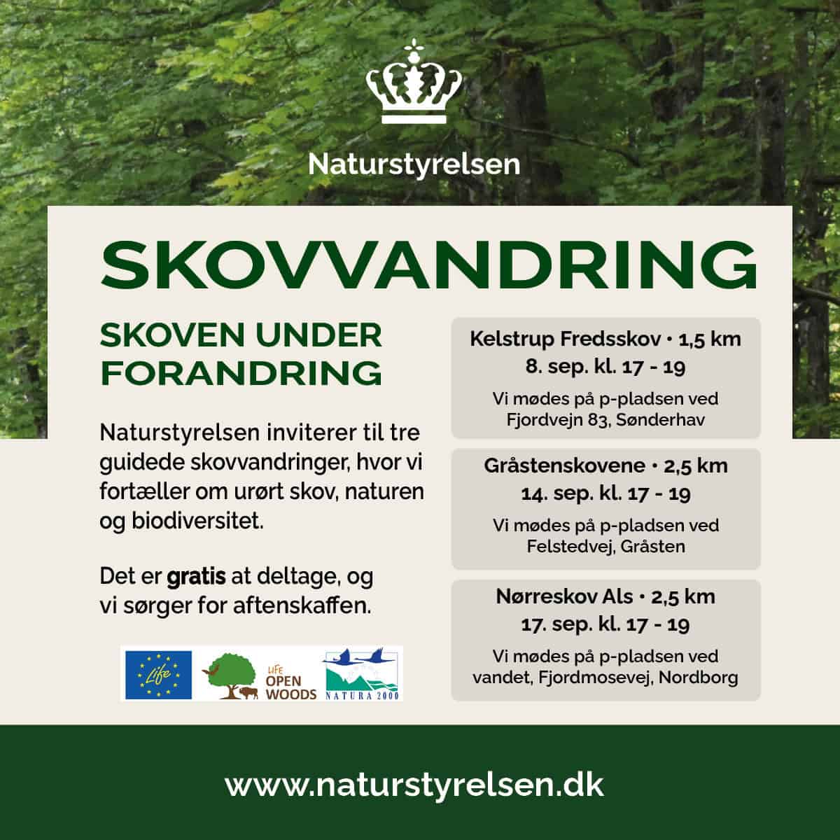 Skovvandring med Naturstyrelsen - Nørreskov på Als