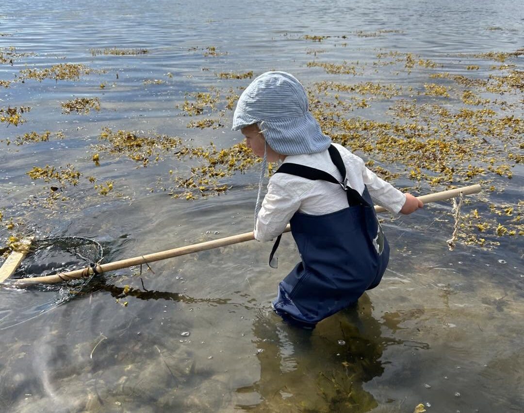 Barn i vadehavet med net, udforsker naturen i Sonderborg.