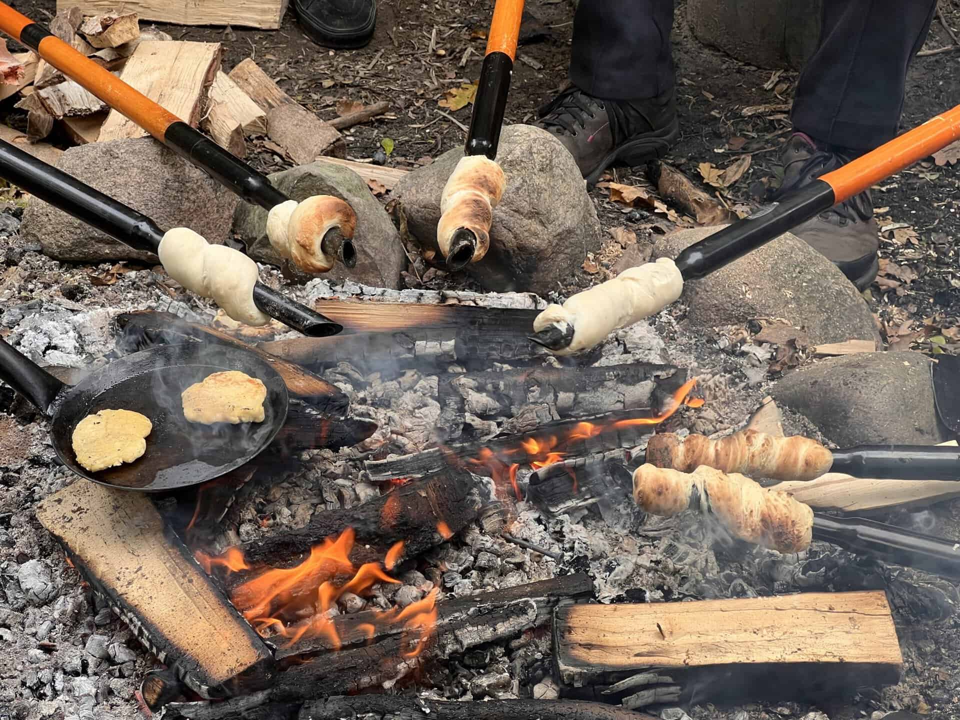 IMG_4625 Naturoplevelser i Sønderborg-området