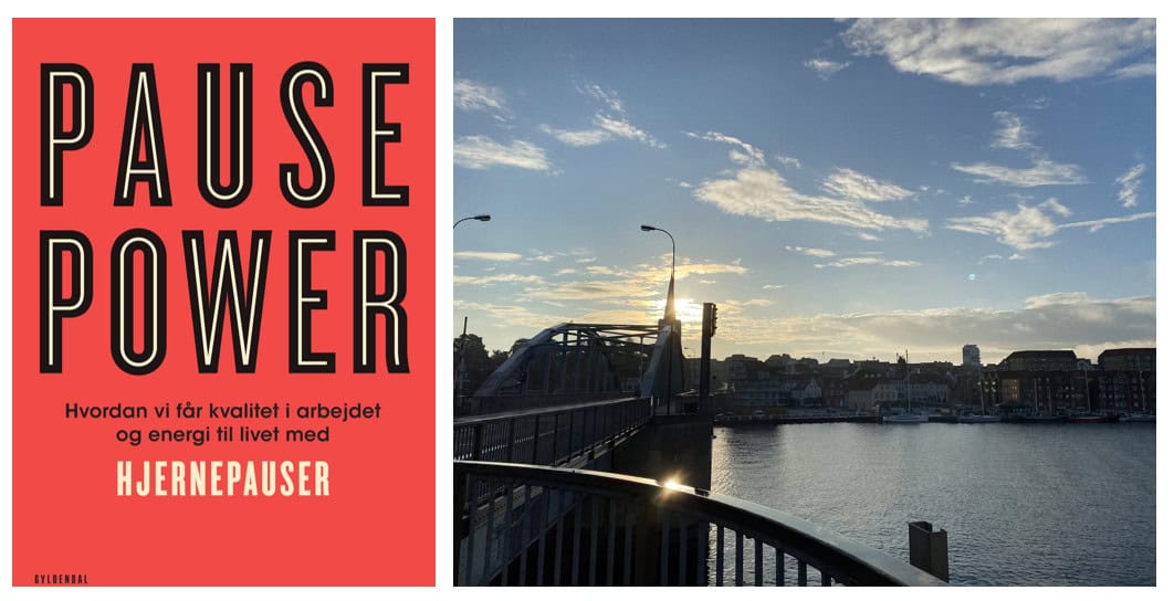 Business Book Club - Pause Power