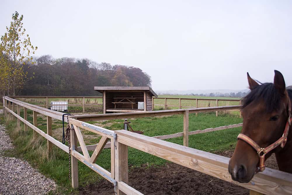 riderute_als_hoehotel_mjanghoej Naturoplevelser i Sønderborg-området