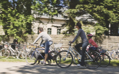 Arbejdet med ny cykelsti mellem Skovby og Kegnæs er i gang